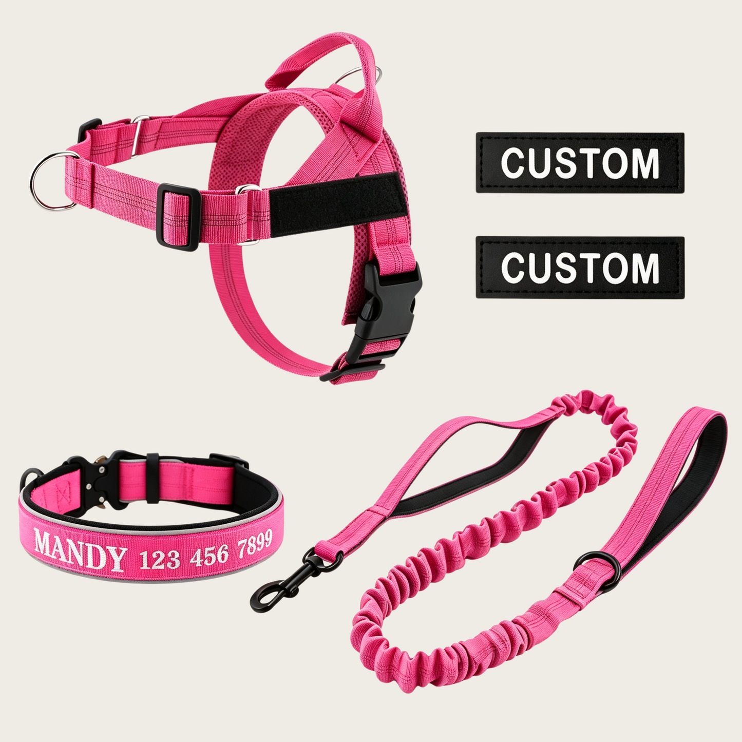 Personalized Dog Walking Bundle
