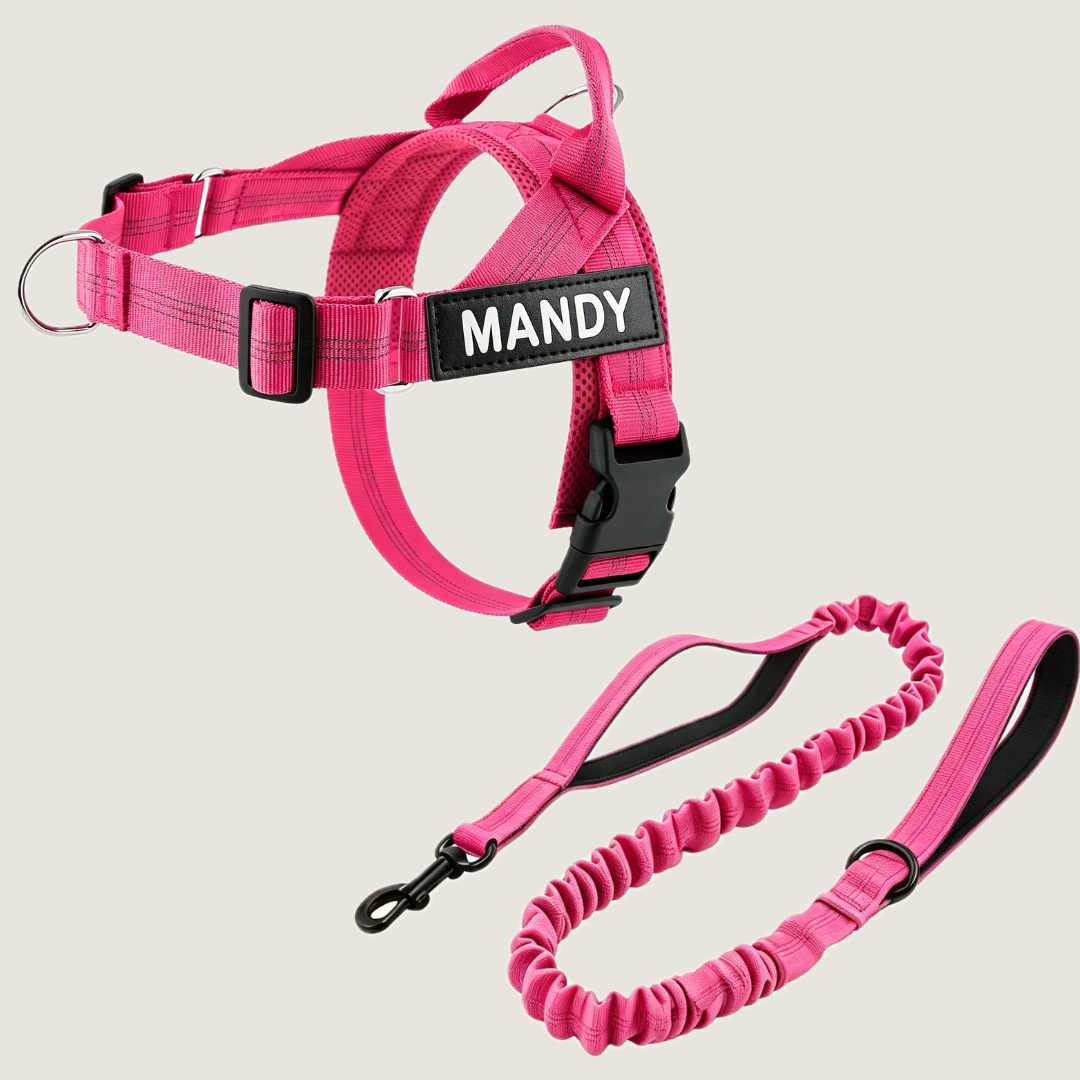 Personalized No-Pull Dog Harness Set