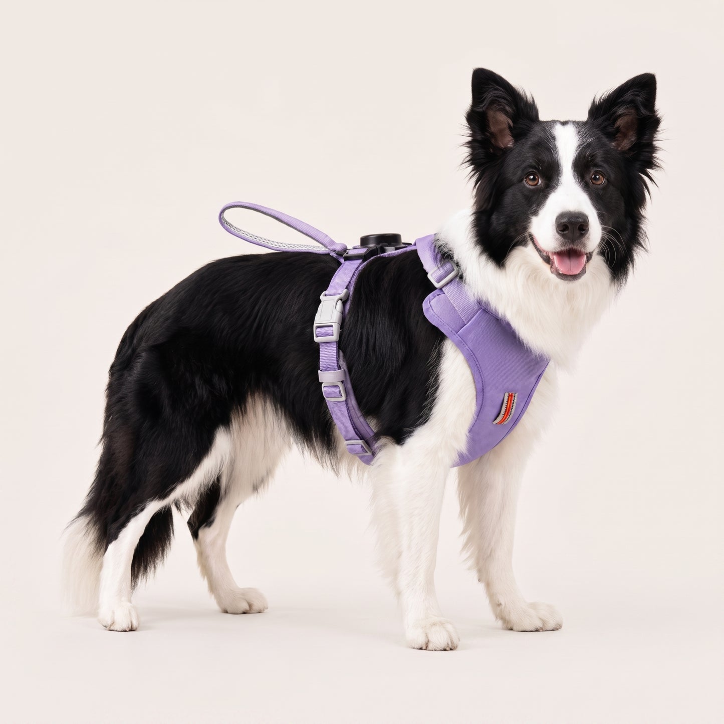 KAVRIONA Pro 2-in-1 Auto-Retract Leash Dog Harness