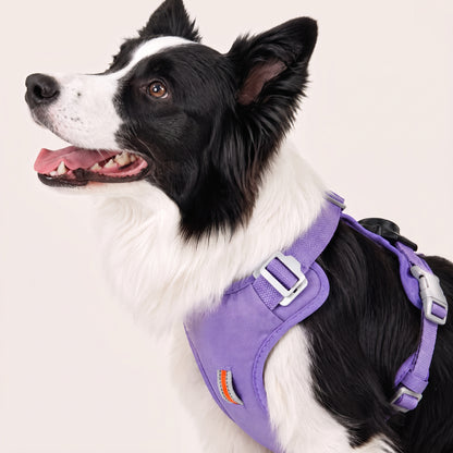 KAVRIONA Pro 2-in-1 Auto-Retract Leash Dog Harness