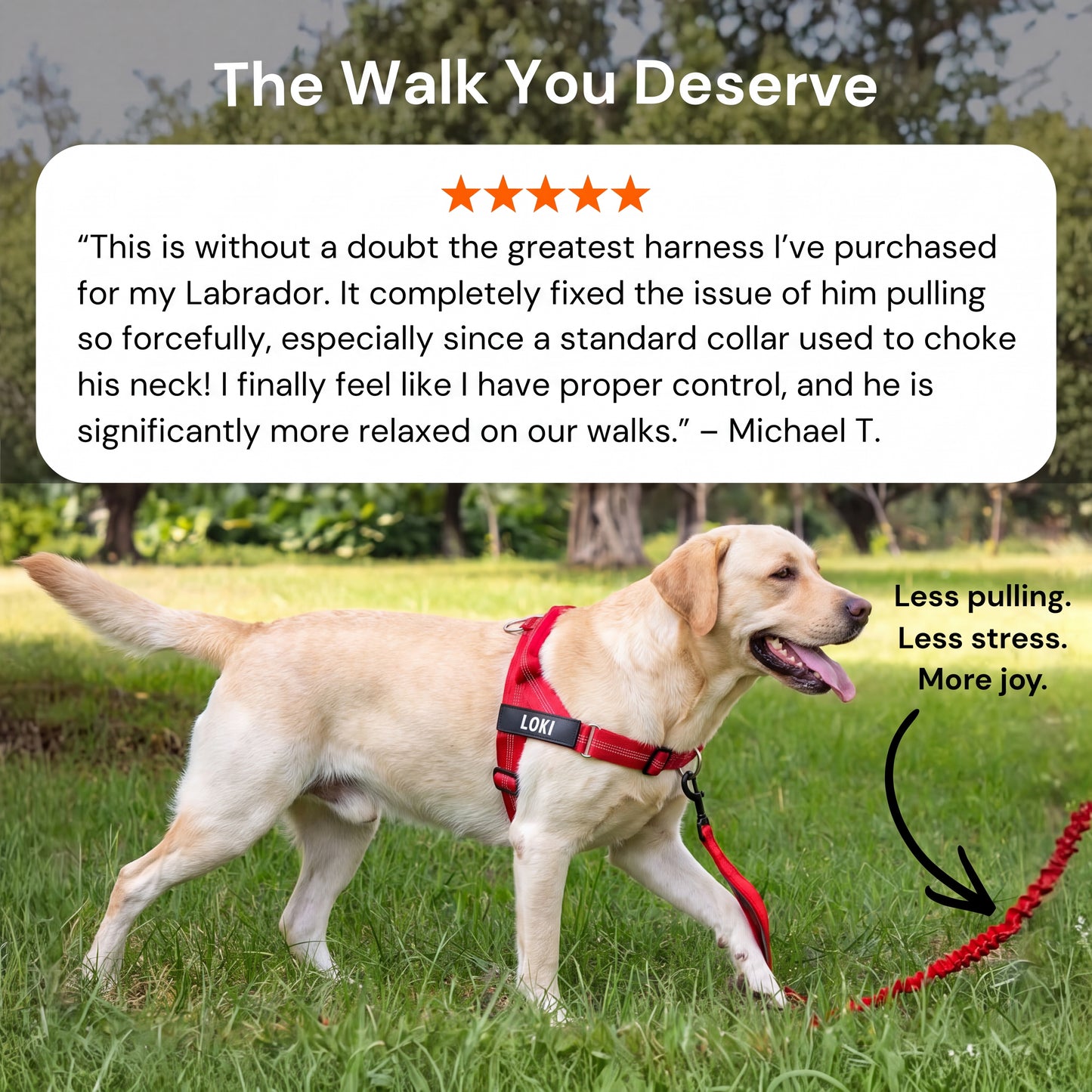 Personalized No-Pull Dog Harness