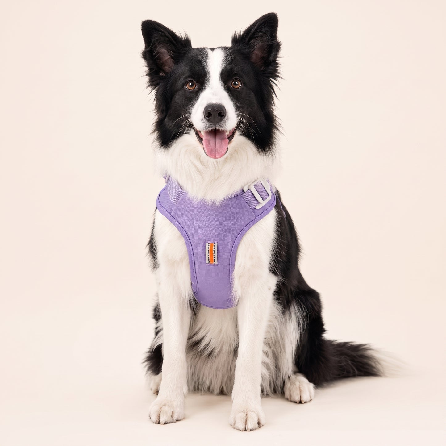 KAVRIONA Pro 2-in-1 Auto-Retract Leash Dog Harness