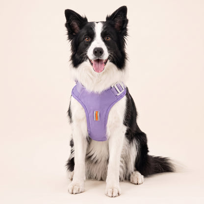 KAVRIONA Pro 2-in-1 Auto-Retract Leash Dog Harness