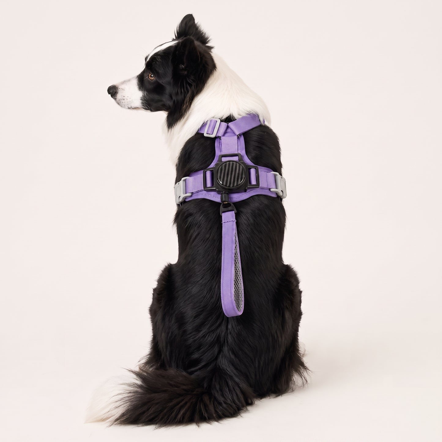 KAVRIONA Pro 2-in-1 Auto-Retract Leash Dog Harness