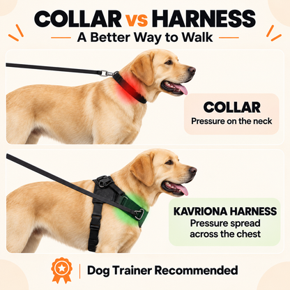 KAVRIONA No-Pull Dog Harness