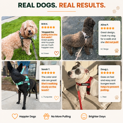 KAVRIONA No-Pull Dog Harness
