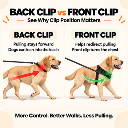 KAVRIONA No-Pull Dog Harness
