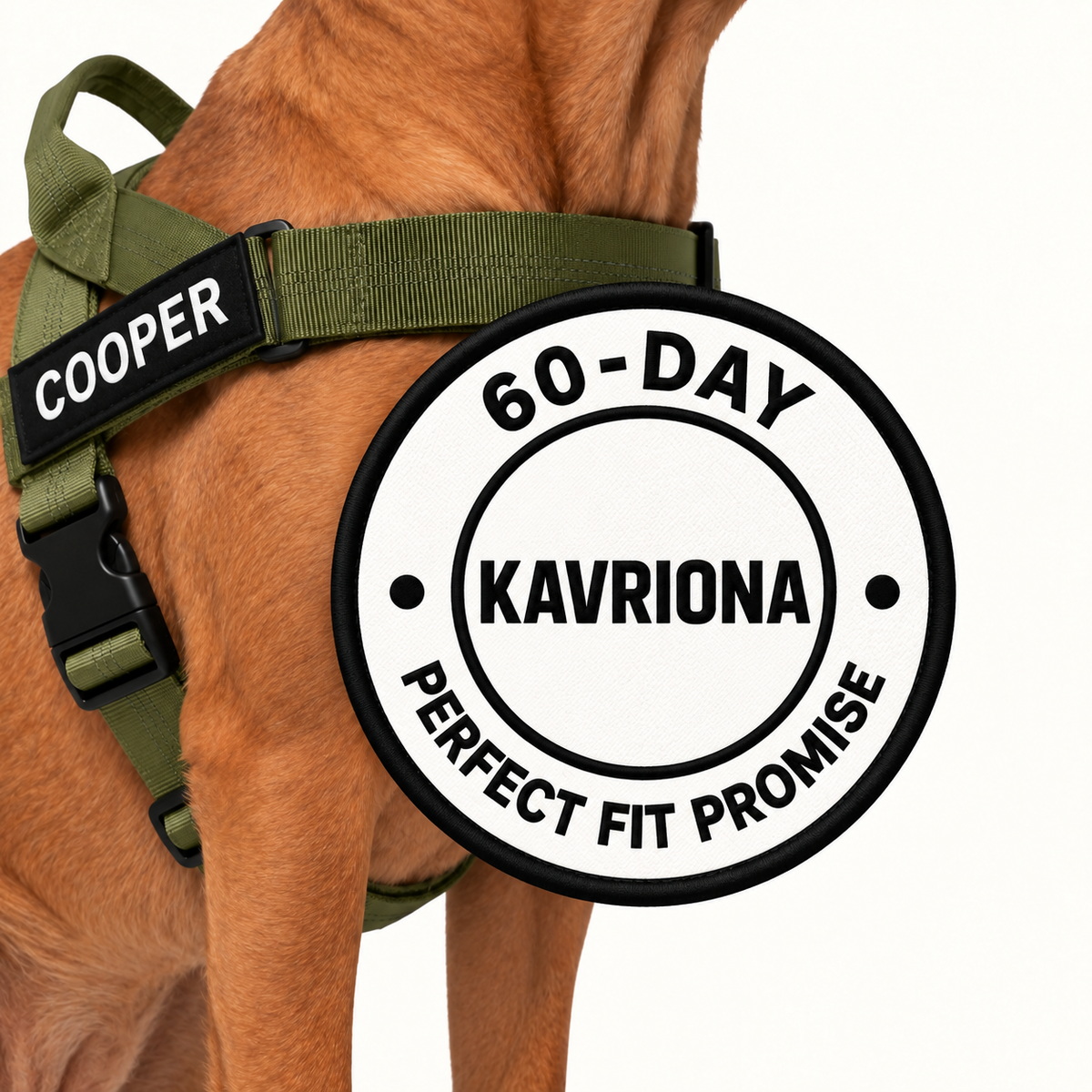 KAVRIONA No-Pull Dog Harness