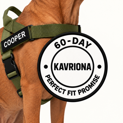 KAVRIONA No-Pull Dog Harness