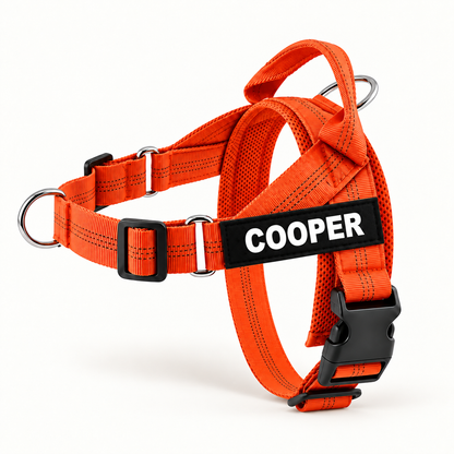 KAVRIONA No-Pull Dog Harness