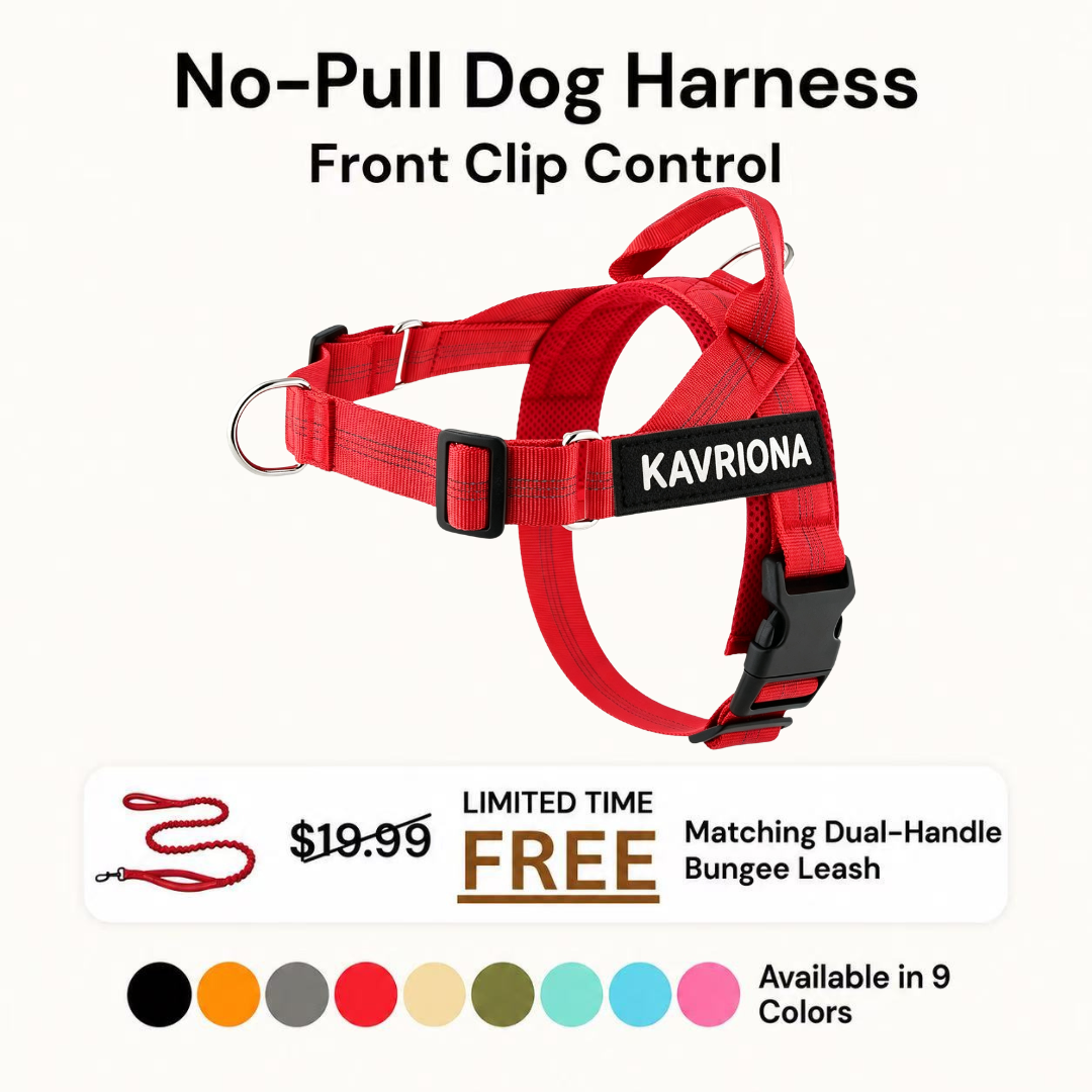 Personalized No-Pull Dog Harness