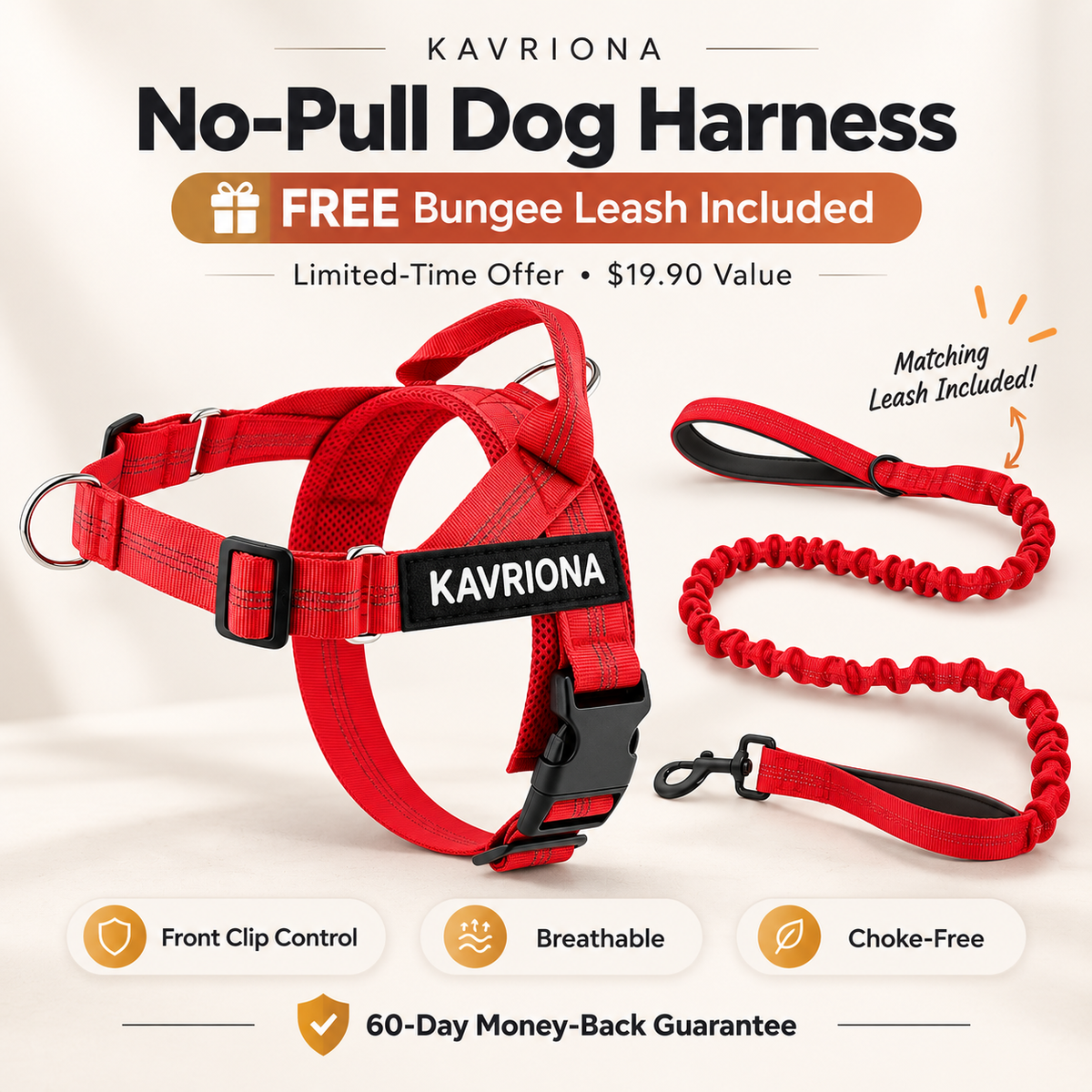 Personalized No-Pull Dog Harness Set