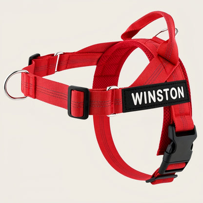 Personalized No-Pull Dog Harness