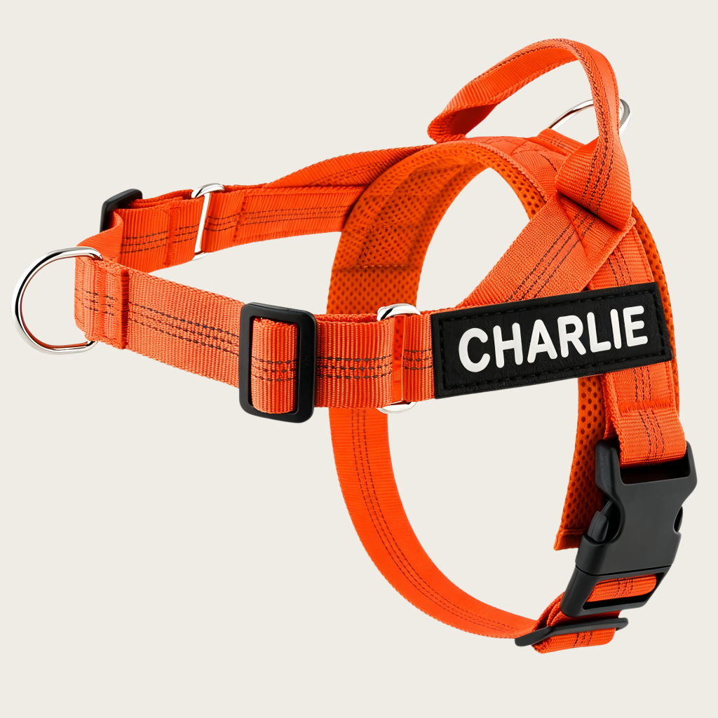 Personalized No-Pull Dog Harness