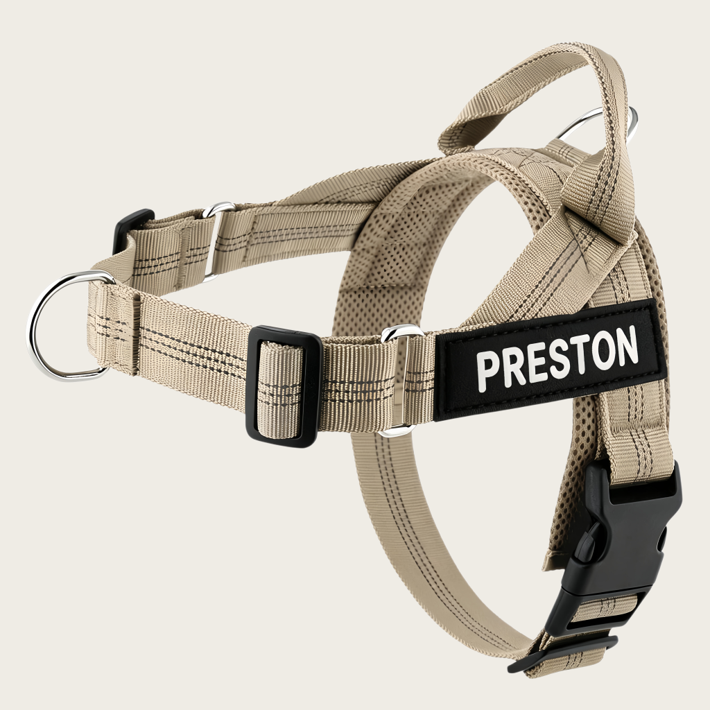 Personalized No-Pull Dog Harness