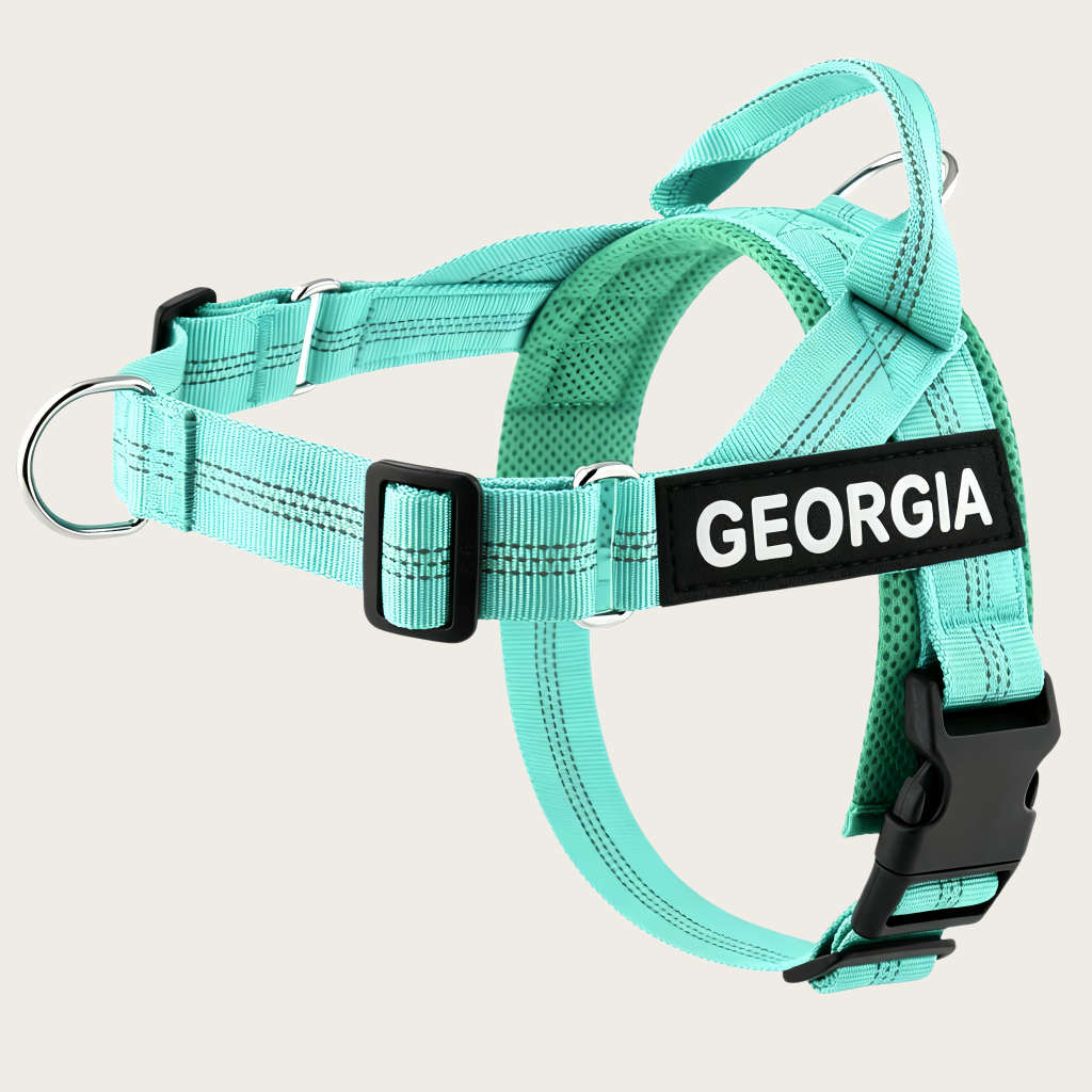 Personalized No-Pull Dog Harness