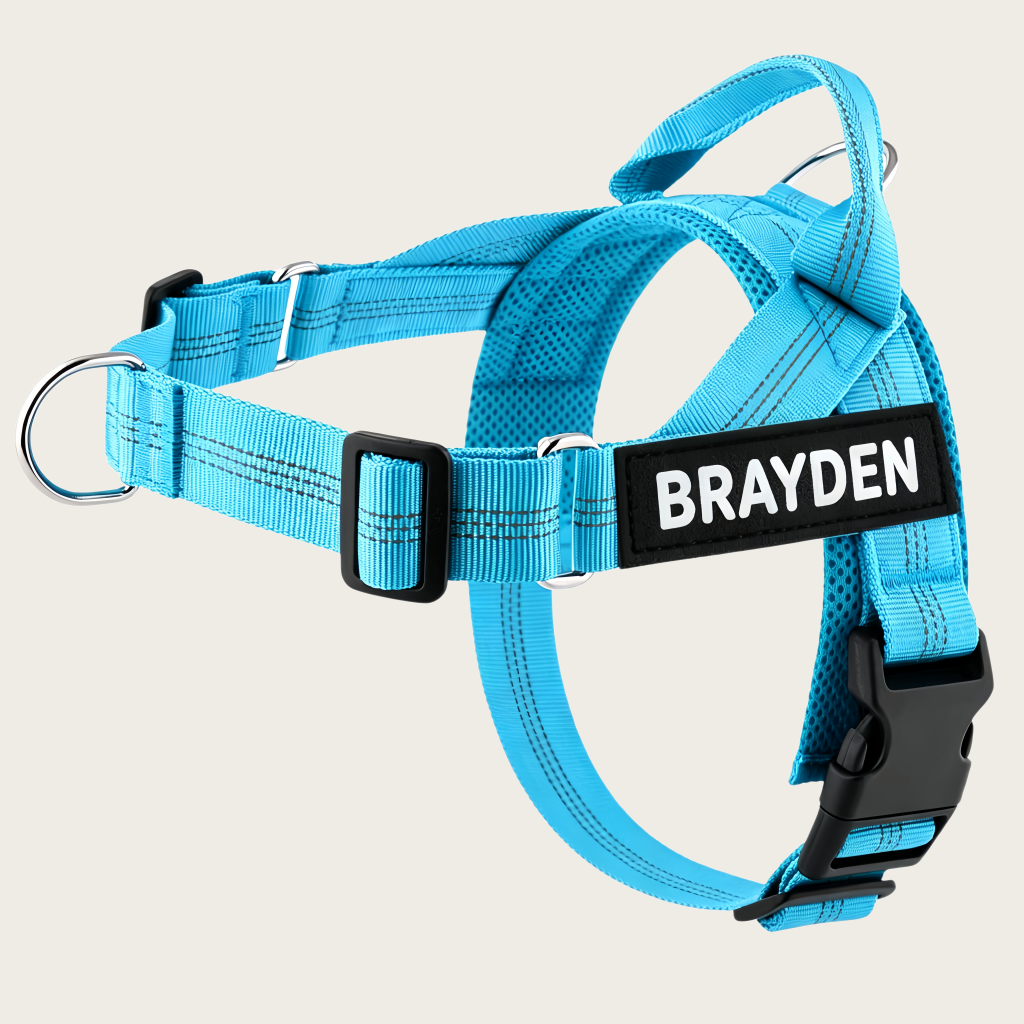 Personalized No-Pull Dog Harness