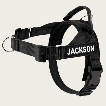Personalized No-Pull Dog Harness