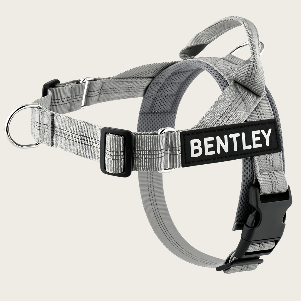 Personalized No-Pull Dog Harness