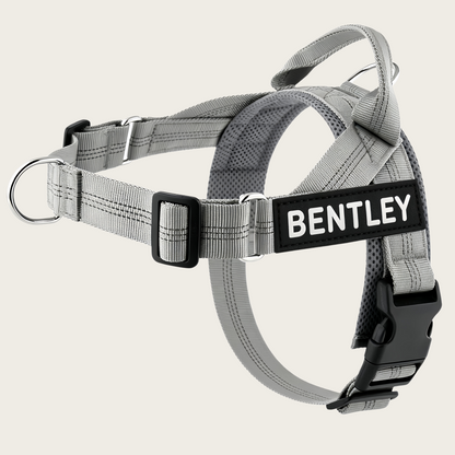 Personalized No-Pull Dog Harness
