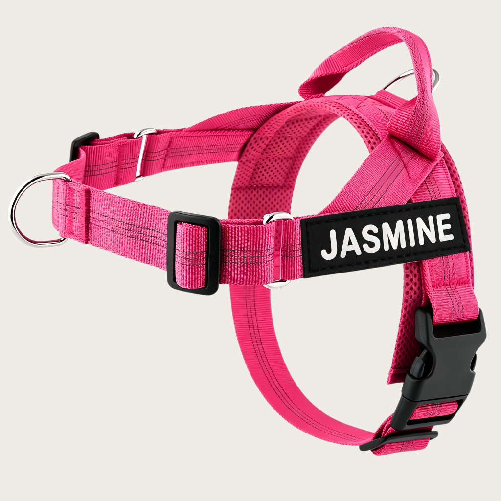 Personalized No-Pull Dog Harness