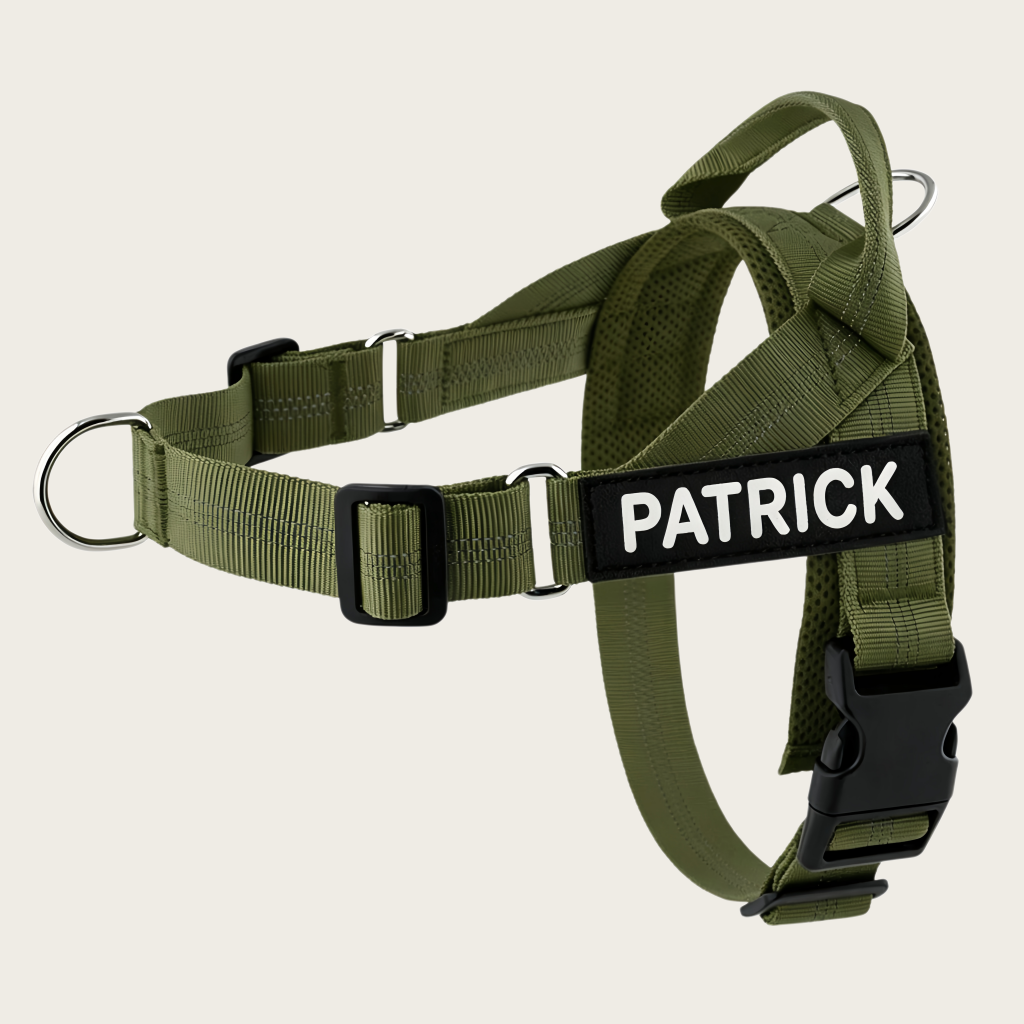 Personalized No-Pull Dog Harness
