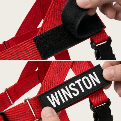 Personalized No-Pull Dog Harness