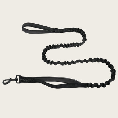 KAVRIONA Bungee Dog Leash