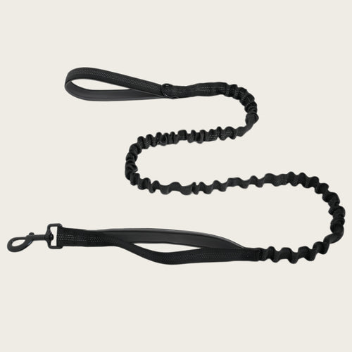 KAVRIONA Bungee Dog Leash