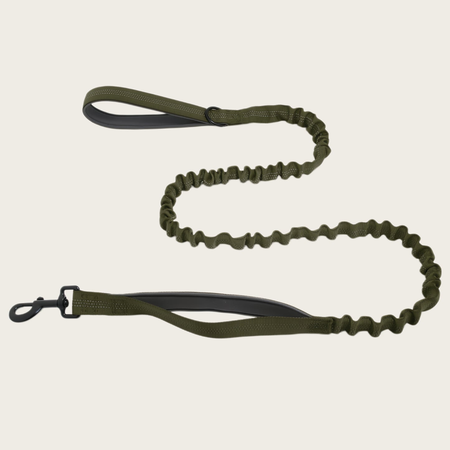 KAVRIONA Bungee Dog Leash