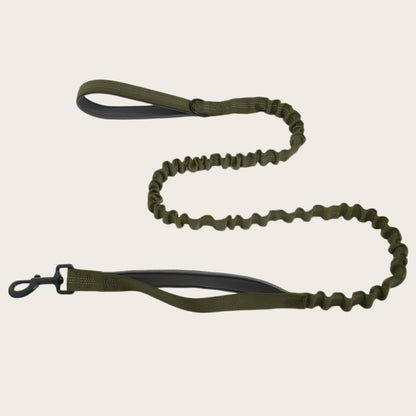 KAVRIONA Bungee Dog Leash