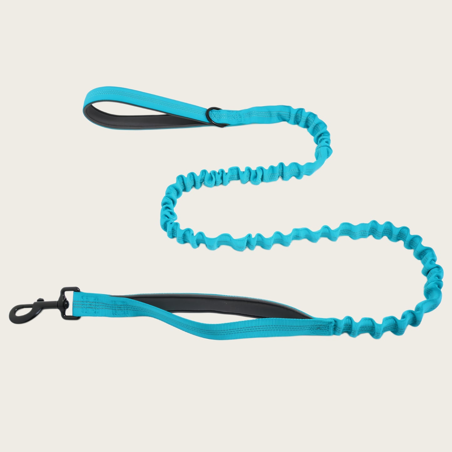 KAVRIONA Bungee Dog Leash
