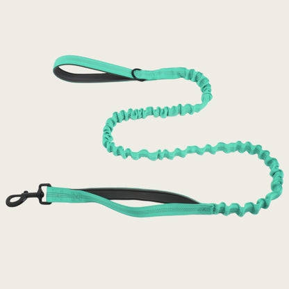 KAVRIONA Bungee Dog Leash