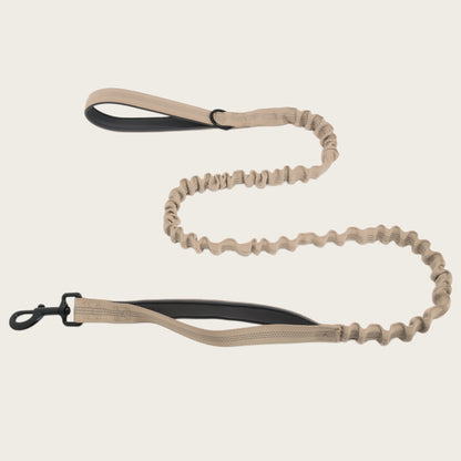 KAVRIONA Bungee Dog Leash