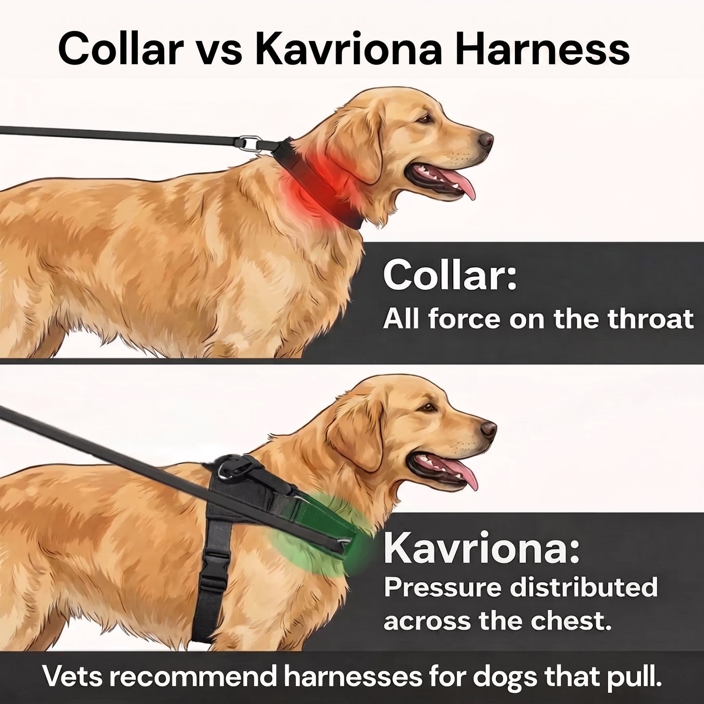 Personalized No-Pull Dog Harness