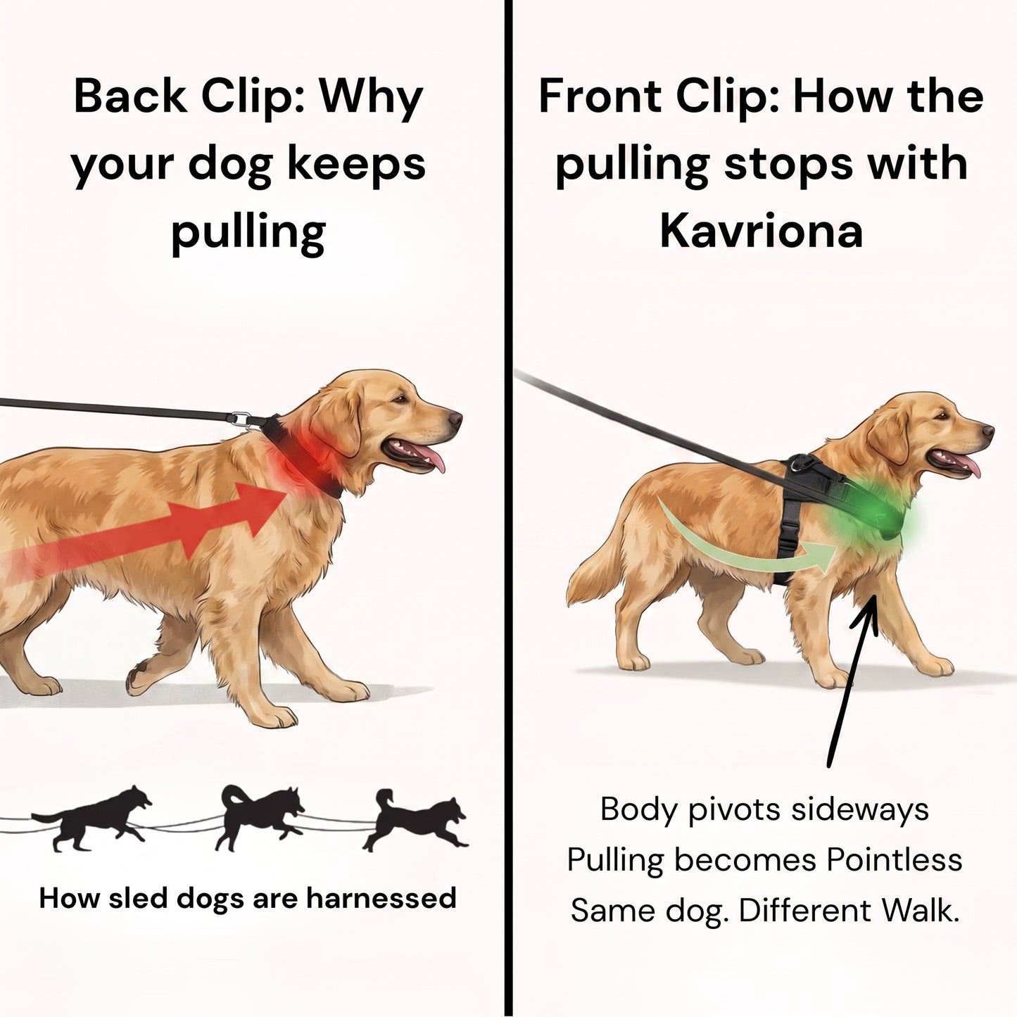 Personalized No-Pull Dog Harness