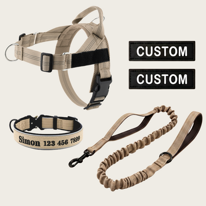 Personalized Dog Walking Bundle