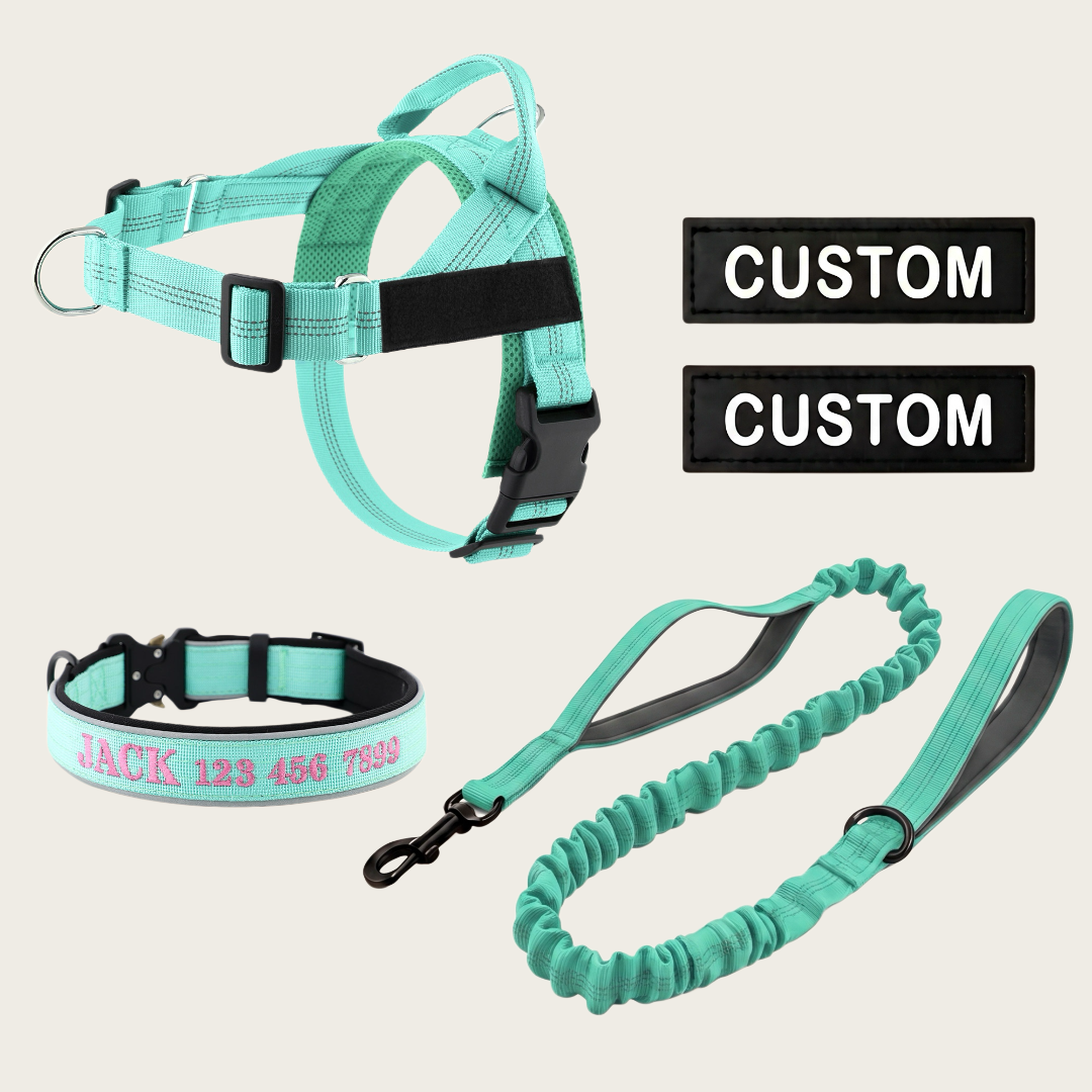 Personalized Dog Walking Bundle