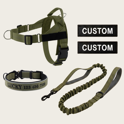 Personalized Dog Walking Bundle
