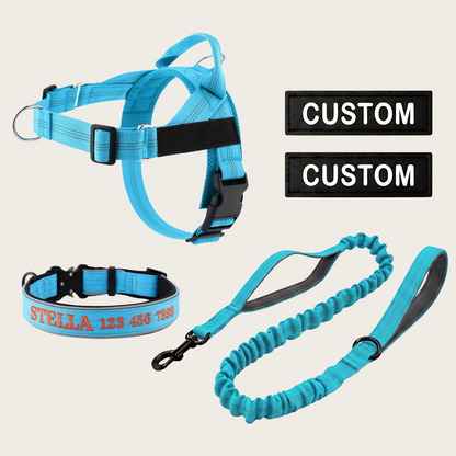 Personalized Dog Walking Bundle