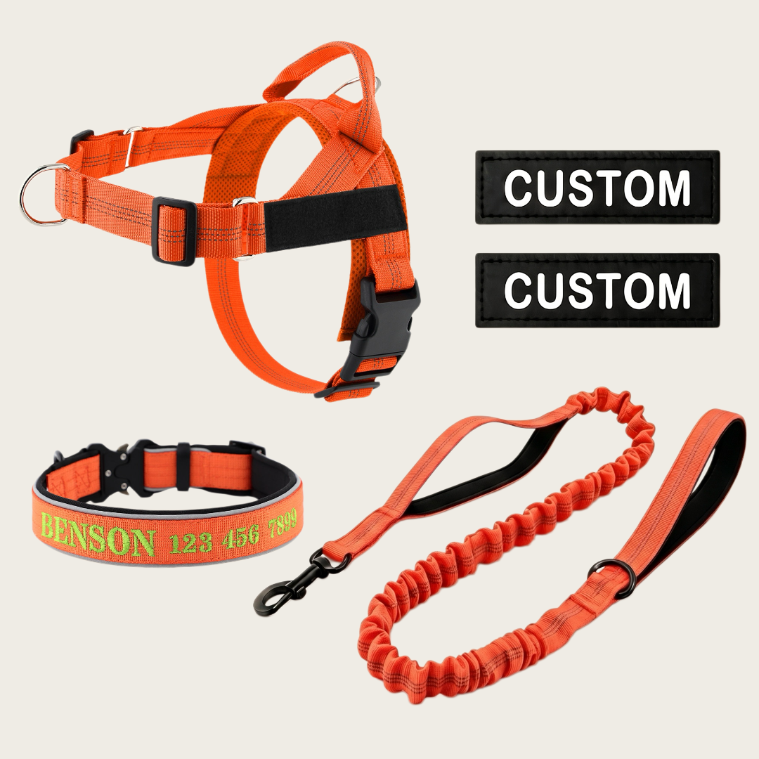 Personalized Dog Walking Bundle