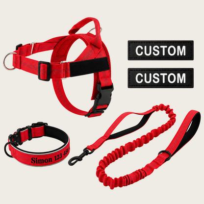 Personalized Dog Walking Bundle