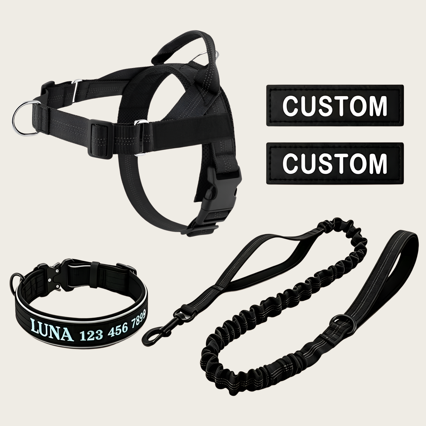 Personalized Dog Walking Bundle