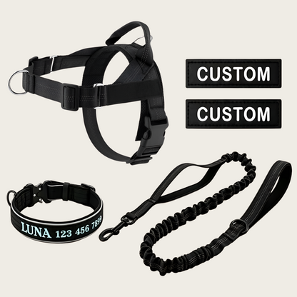 Personalized Dog Walking Bundle