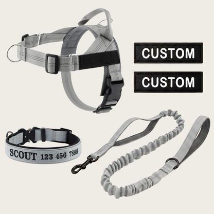 Personalized Dog Walking Bundle
