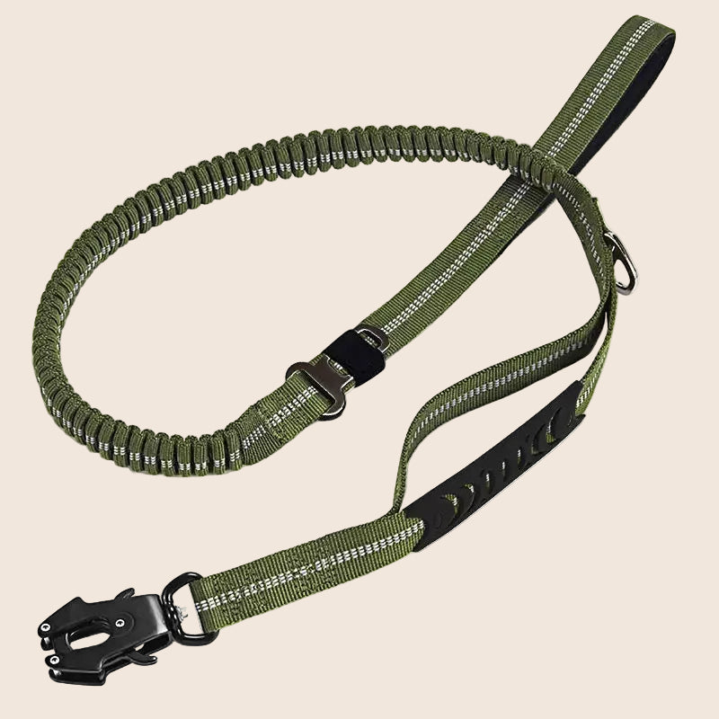 KAVRIONA Heavy Duty  Bungee Dog Leash