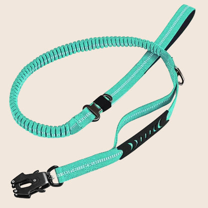 KAVRIONA Heavy Duty  Bungee Dog Leash
