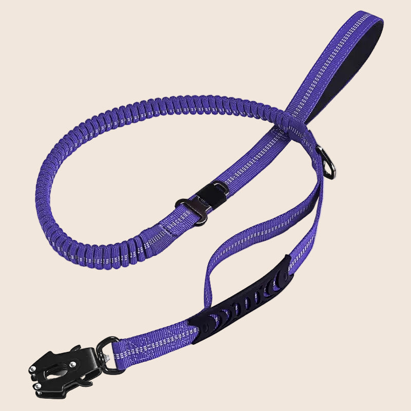 KAVRIONA Heavy Duty  Bungee Dog Leash