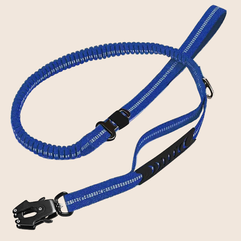 KAVRIONA Heavy Duty  Bungee Dog Leash