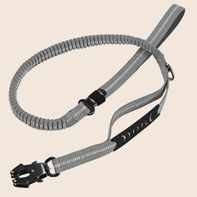 KAVRIONA Heavy Duty  Bungee Dog Leash